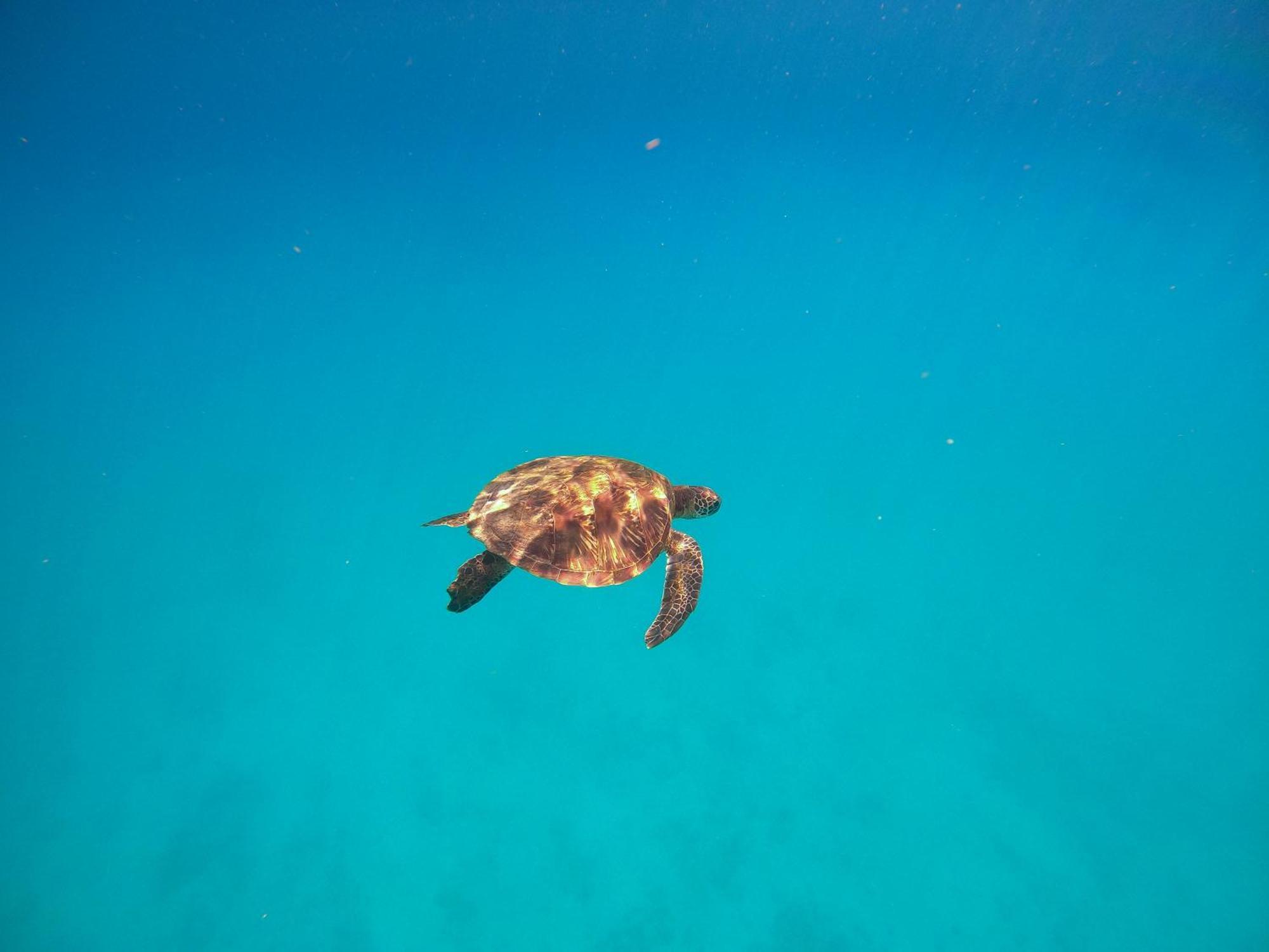 Slow Island Hostel غرين آيلاند المظهر الخارجي الصورة