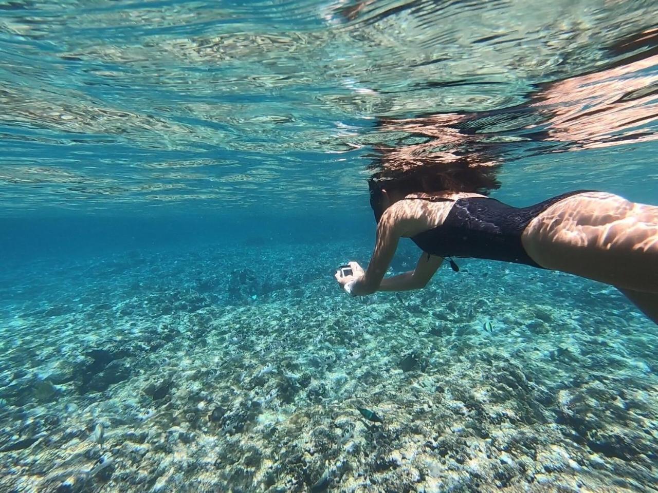 Slow Island Hostel غرين آيلاند المظهر الخارجي الصورة